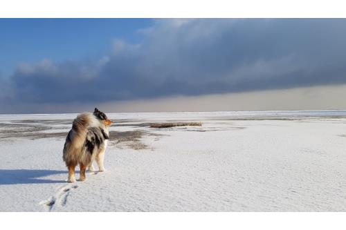 Sylt Ferienwohnung Coop Haus - Westerland - Preetz 32 OB - Strand