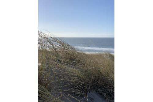 Sylt Ferienwohnung Haus Atlantik - Westerland - Atlantik 1-41 - Thomsen - Ausstattung 12