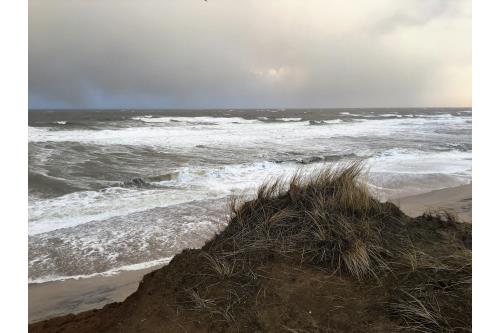 Sylt Ferienwohnung Haus Atlantik - Westerland - Atlantik 1-41 - Thomsen - Syltfotos