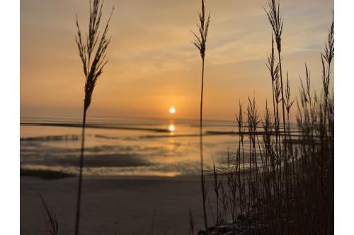 Sylt Ferienwohnung Haus Kompass - Friedrichstrasse 40 - Kompass 52 - Ausstattung 13