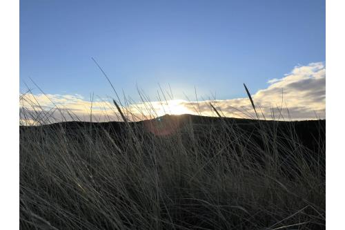 Sylt Ferienwohnung Haus Metropol - Westerland - App. 137 OB - Ausstattung 10