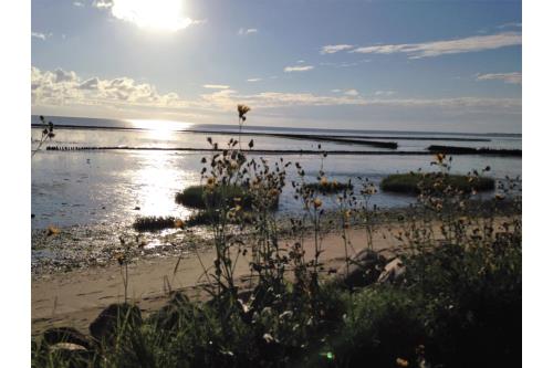 Sylt Ferienwohnung Haus Metropol - Westerland - App. 137 OB - Ausstattung 15