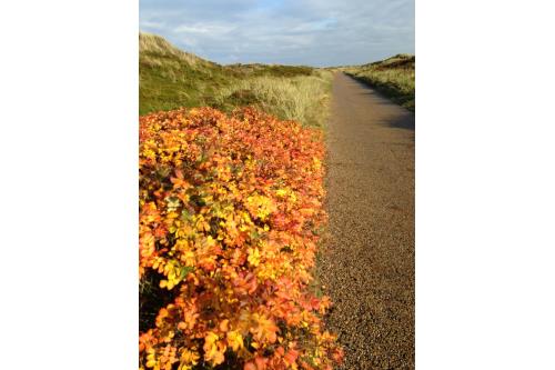 Sylt Ferienwohnung Haus Metropol - Westerland - App. 276a OB - Ausstattung 6