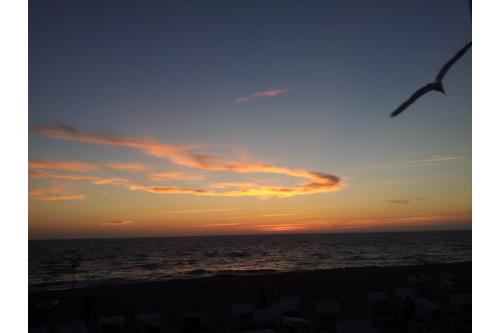 Sylt Hüs Lörki - Ferienwohnungen - App. 2 - Ausstattung 8