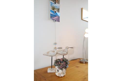 Sylt Ferienwohnung Freyer - Exlusives Appartement in Alt-Westerland