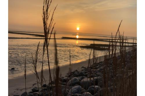 Sylt Ferienwohnung Haus Nordland - Appartement Heckermann