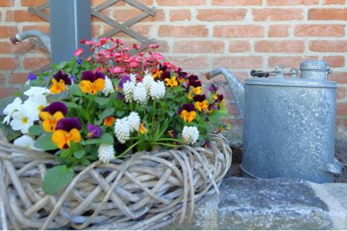 Sylt Haus Krauthahn - Ferienwohnung Anbau - Außenansicht