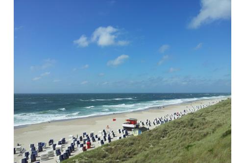 Sylt Ferienwohnung Appartment Puschmann - Wenningstedt zentral - Umgebung