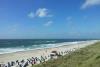 Sylt Ferienwohnung Appartment Puschmann - Wenningstedt zentral