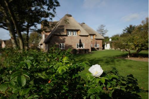 Sylt Ferienwohnung Suite Vogelkoje