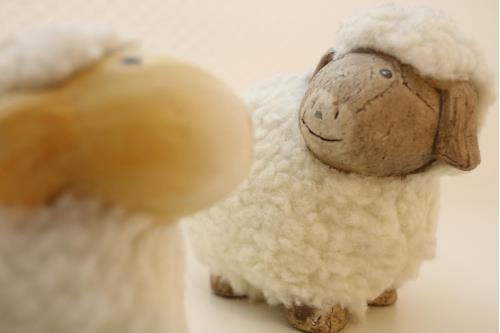 Sylt Ferienwohnung Tietje Ringhoog